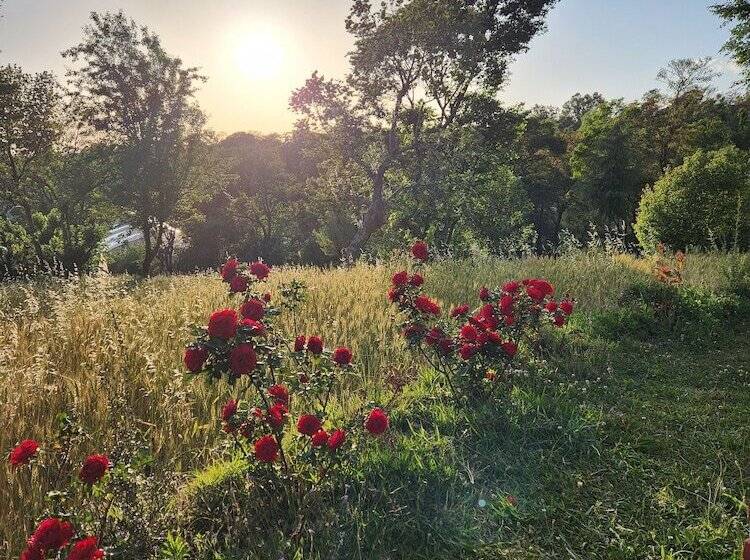 旅馆 Hipostel Bir   Stay And Cafe