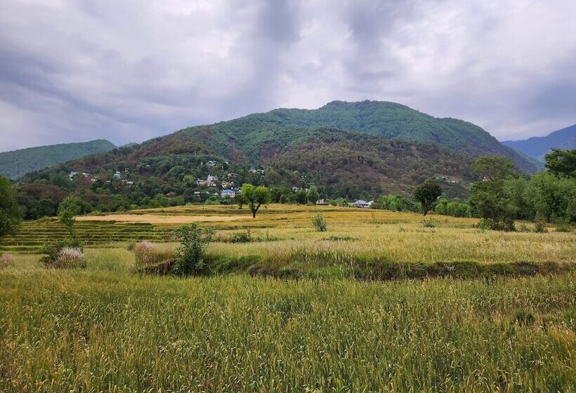 旅馆 Hipostel Bir   Stay And Cafe