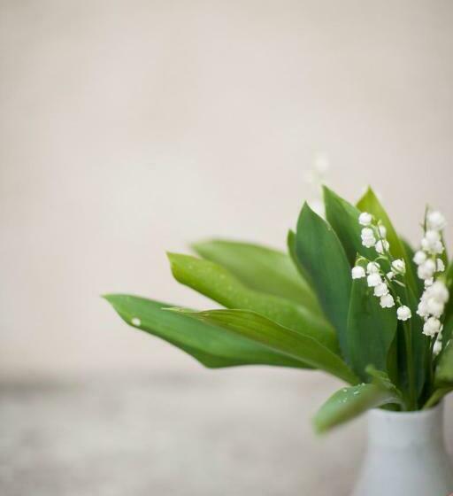 הוסטל I Chimi Locanda Di Frassino