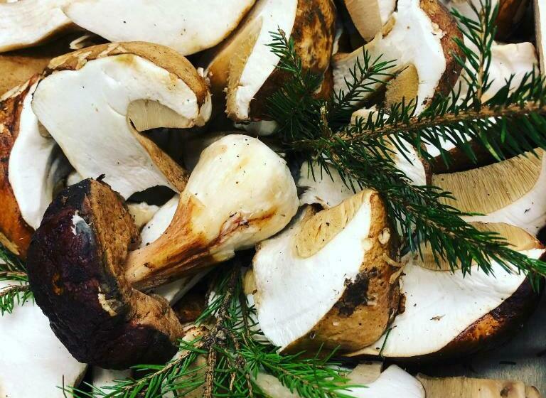 Общежитие Locanda Marcella