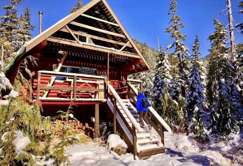 فندق صغير Up The Creek Backpacker's Lodge