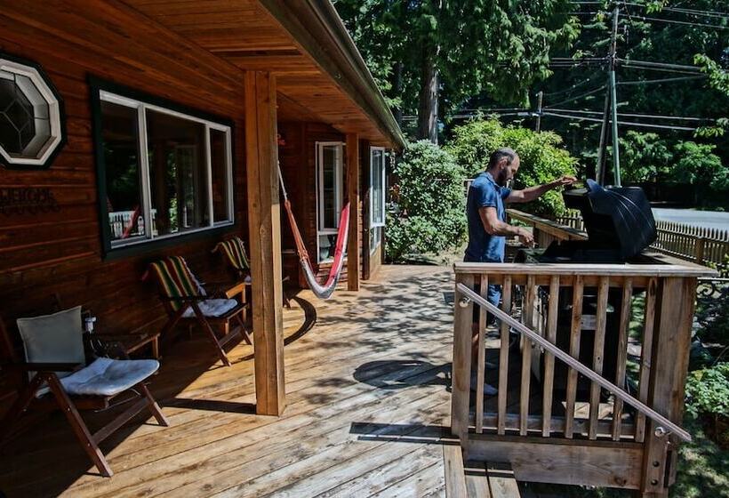 فندق صغير Up The Creek Backpacker's Lodge