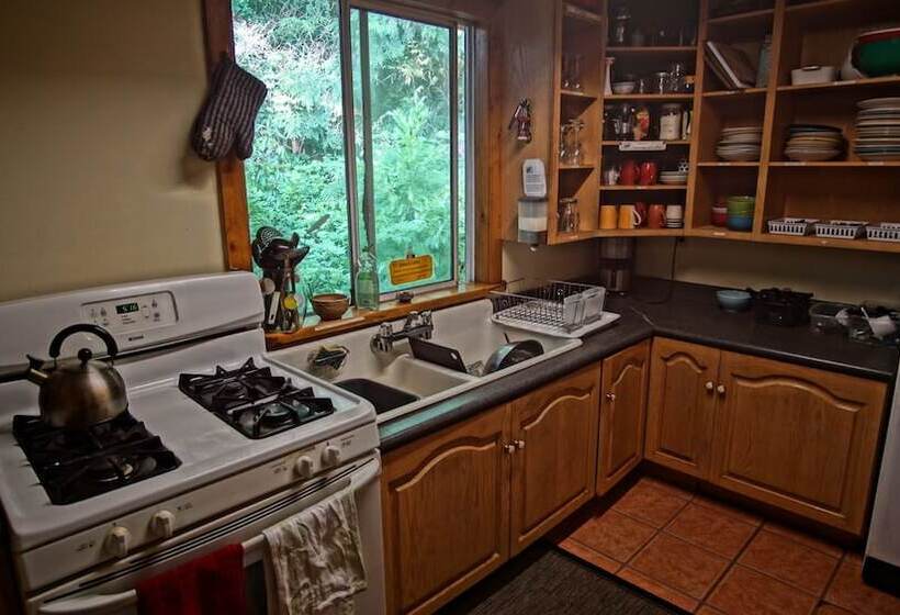 فندق صغير Up The Creek Backpacker's Lodge