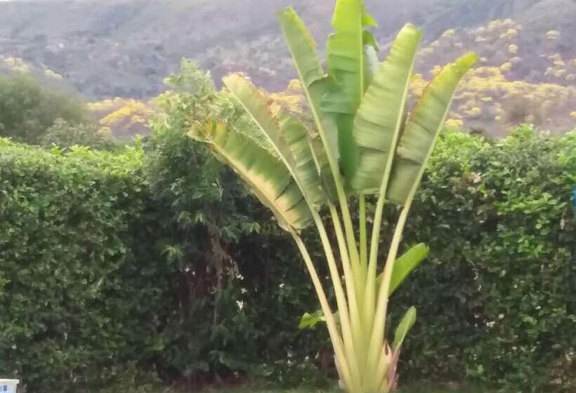 مبيت وإفطار C&h Campestre El Oasis