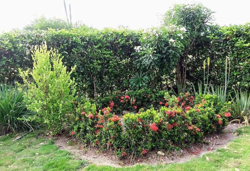 مبيت وإفطار C&h Campestre El Oasis