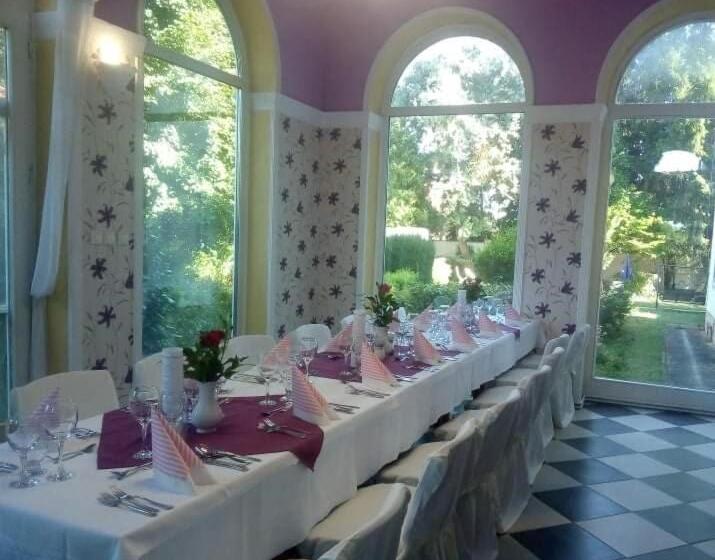 ベッドアンドブレックファースト Fábiánics Kastély Misefa