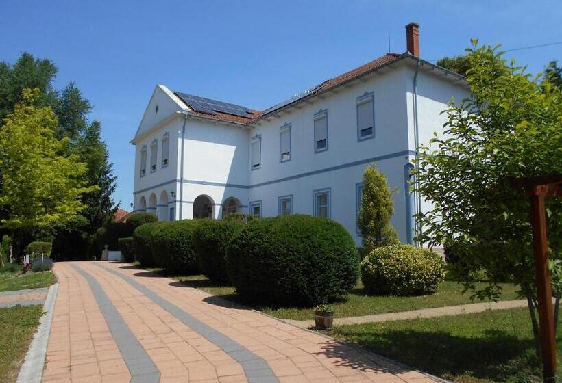 ベッドアンドブレックファースト Fábiánics Kastély Misefa