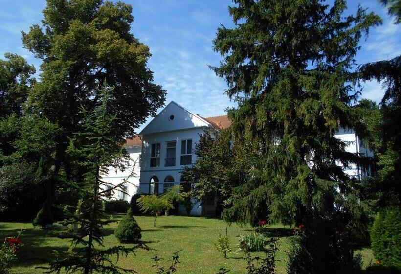 ベッドアンドブレックファースト Fábiánics Kastély Misefa