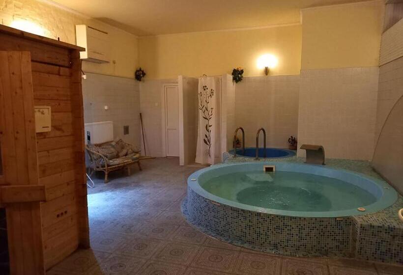 ベッドアンドブレックファースト Fábiánics Kastély Misefa