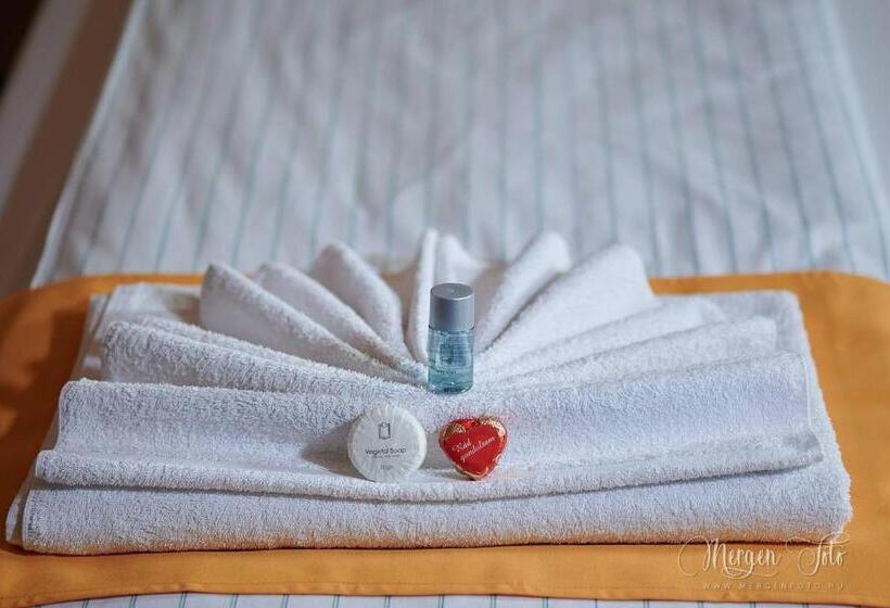 ベッドアンドブレックファースト Kamarás Klastrom House