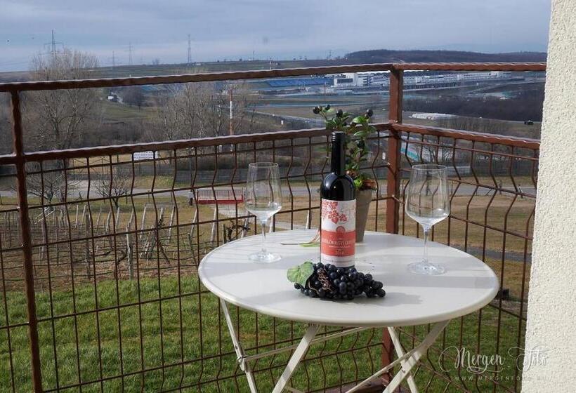 ベッドアンドブレックファースト Kamarás Ring House