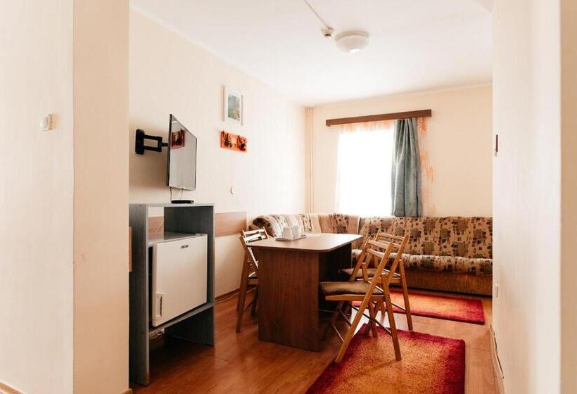 צימר Pension Rose Trandafirul