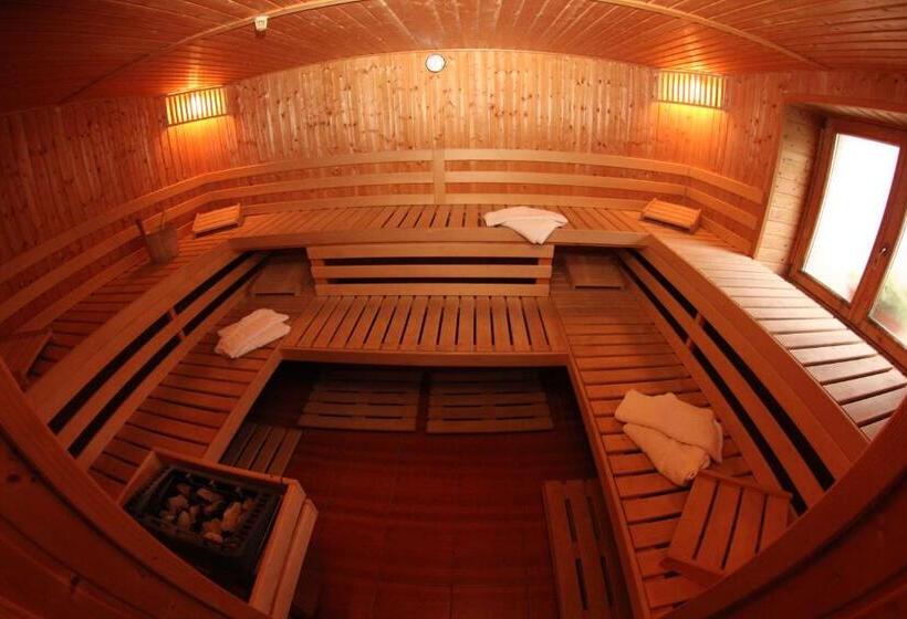 צימר Pension Rose Trandafirul