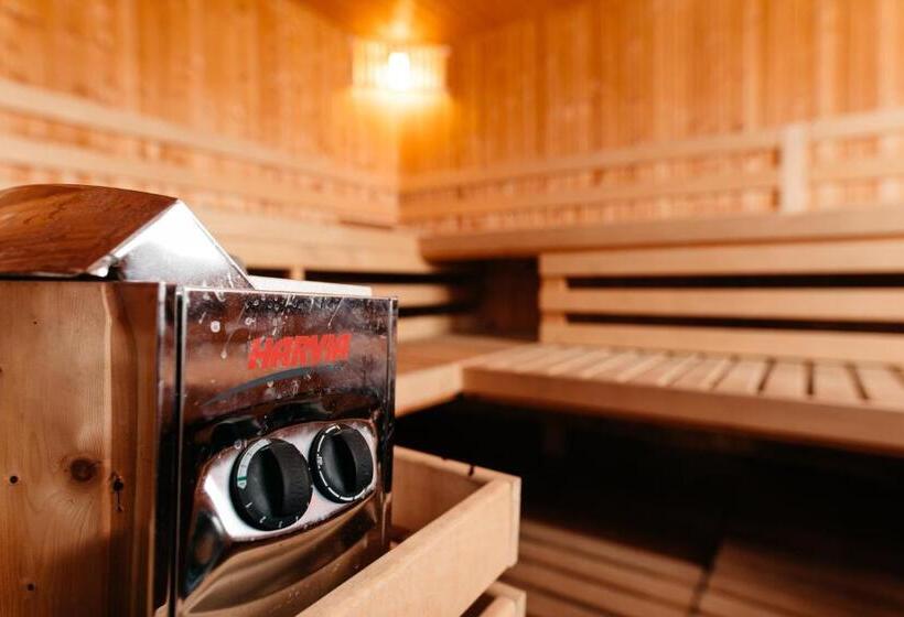 צימר Pension Rose Trandafirul