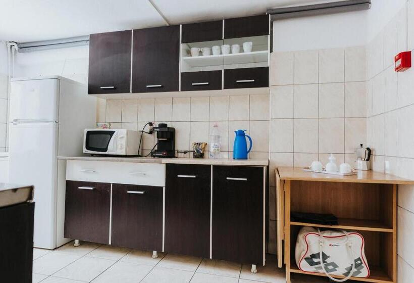 צימר Pension Rose Trandafirul