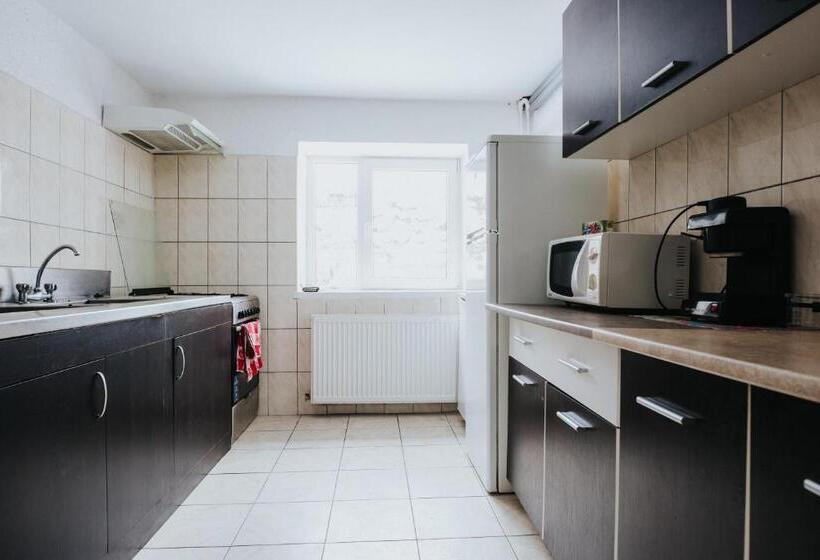 צימר Pension Rose Trandafirul