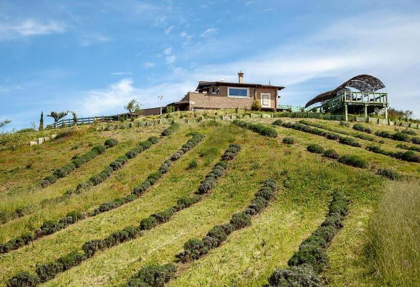 住宿加早餐  Villa & Spasuitebo Roma