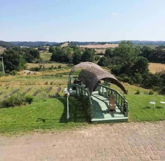 住宿加早餐 Villa & Spasuitebo Roma