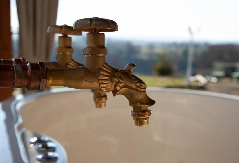 住宿加早餐 Villa & Spasuitebo Roma