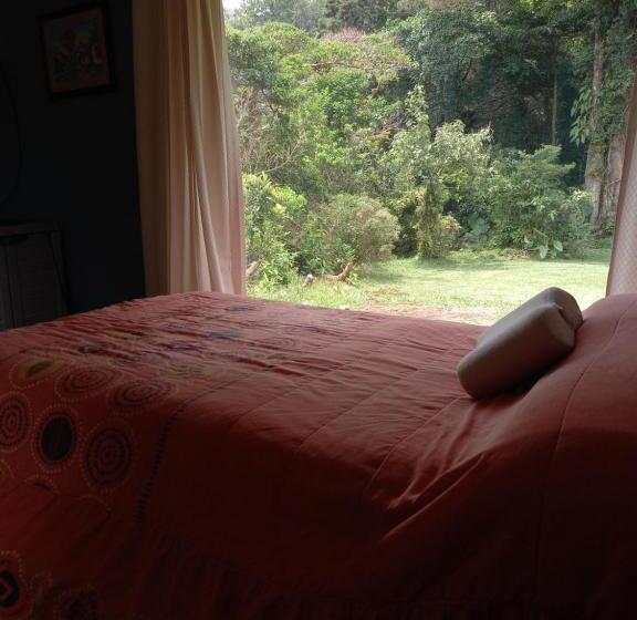 צימר Suite Y Loft Casa Toría