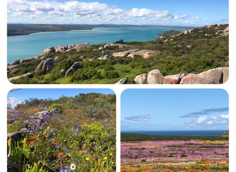 צימר The Little Palm