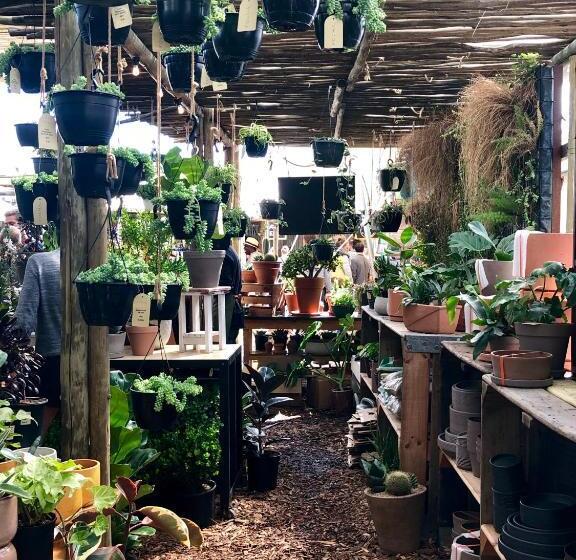 צימר The Little Palm