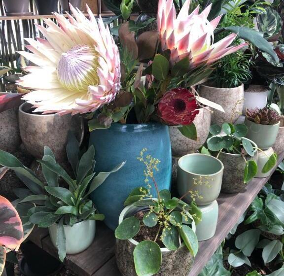 צימר The Little Palm