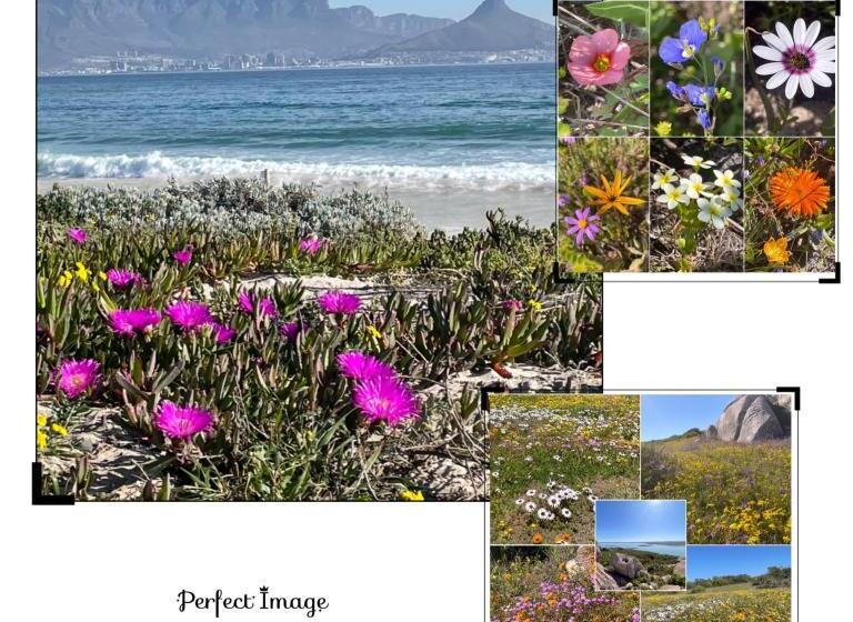 צימר The Little Palm