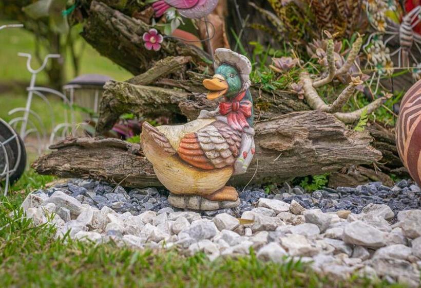 Finca Hotel San Isidro