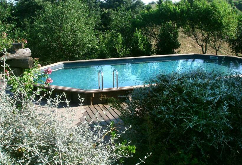 ホテル Agriturismo Locanda Settimo Cielo