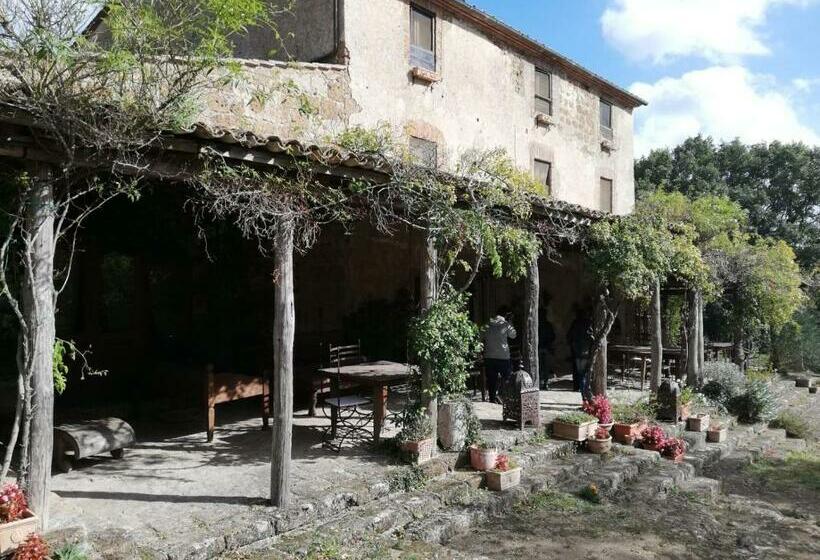 בית מלון כפרי Agriturismo Locanda Settimo Cielo