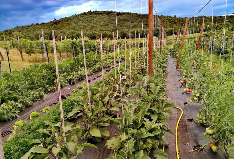 בית מלון כפרי Agriturismo Ostrouska