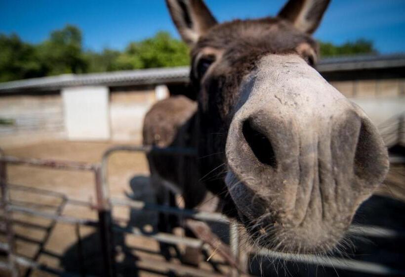 בית מלון כפרי Agriturismo Ostrouska