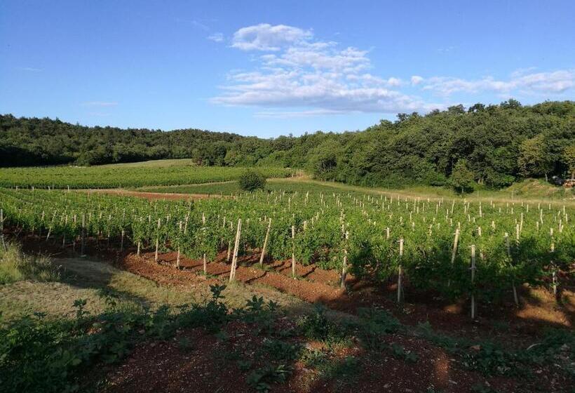 בית מלון כפרי Agriturismo Ostrouska