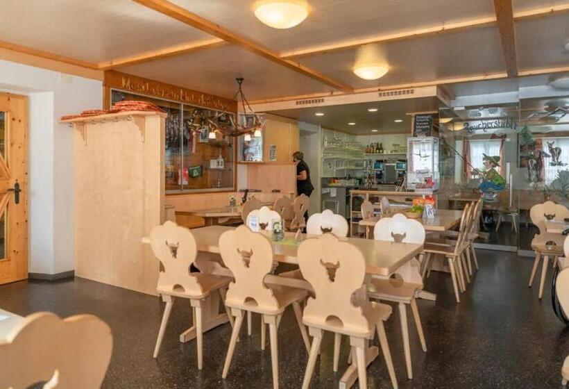 בית מלון כפרי Alpina