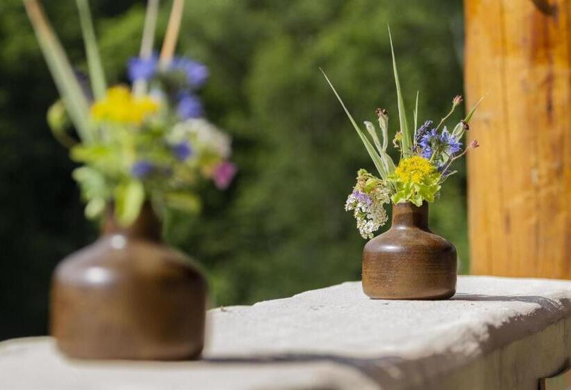 Отель Appartementhaus Eifeladventures