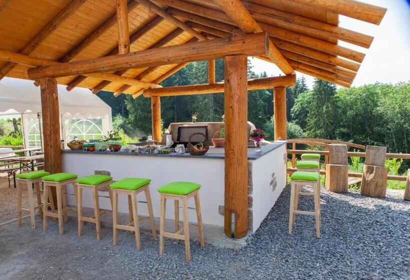 酒店 Appartementhaus Eifeladventures