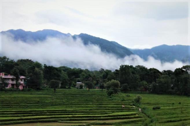 فندق Billingvista Guest House Bir