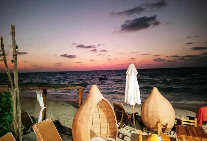 ホテル Calamari Baru