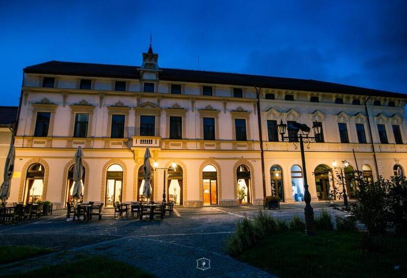 فندق Central Carei