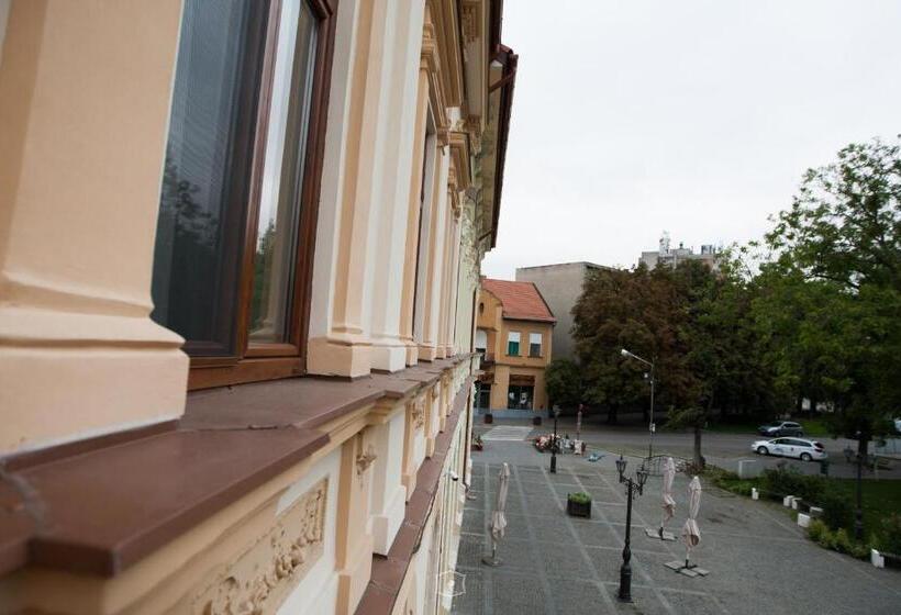 فندق Central Carei