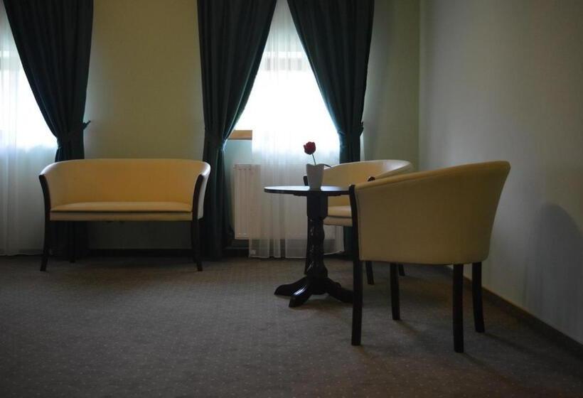 فندق Central Carei