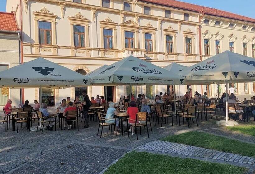 فندق Central Carei