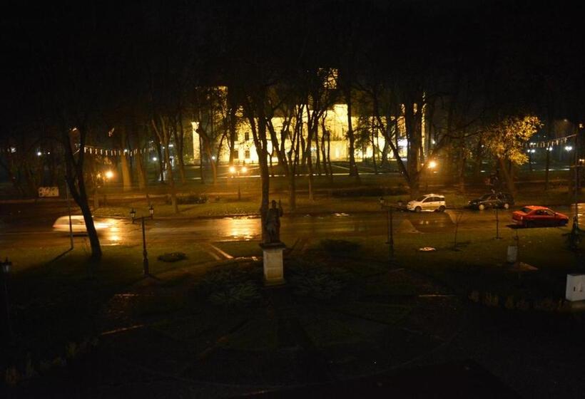 فندق Central Carei