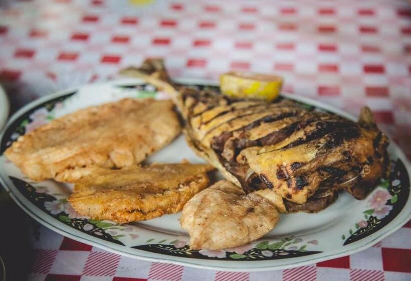 酒店 Coco Loco Lodge