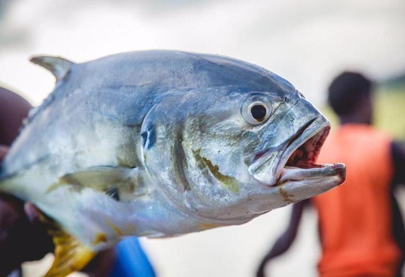 酒店 Coco Loco Lodge