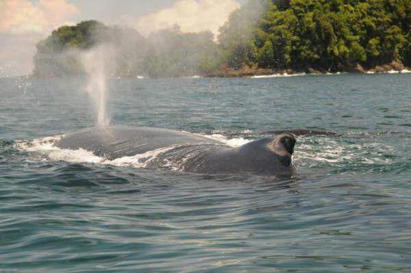 酒店 Coco Loco Lodge