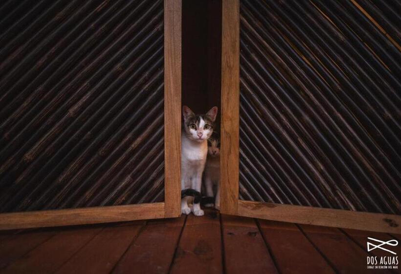 ホテル Dos Aguas Lodge