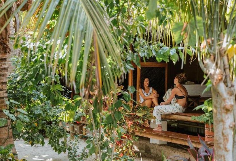 ホテル Dos Aguas Lodge