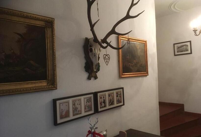 Отель Gasthof Prunner